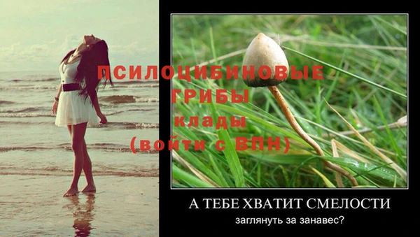 стафф Беломорск